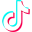 tiktok icon